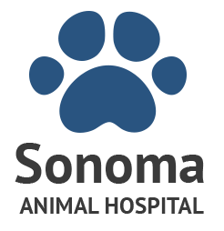 Sonoma Animal Hospital